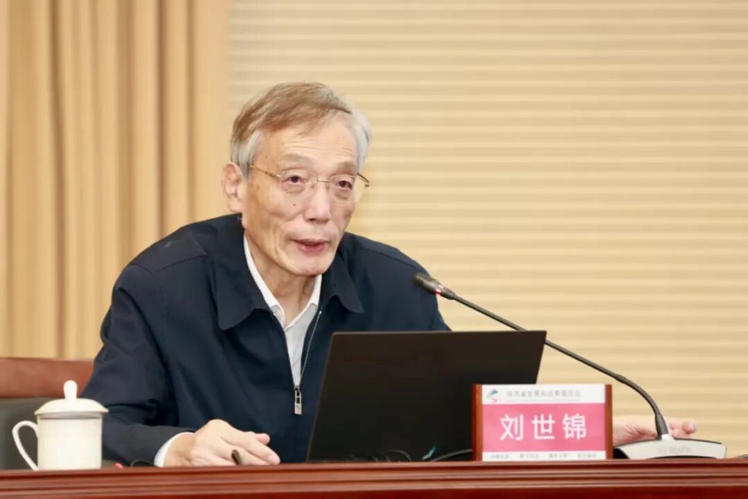 刘世锦:十五五经济发展的思考-CSDN博客