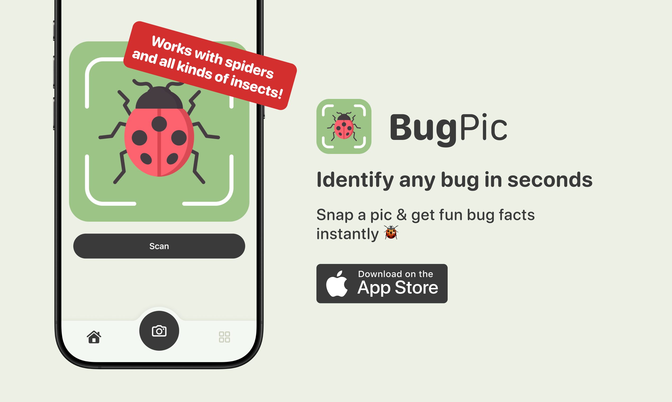 BugPic