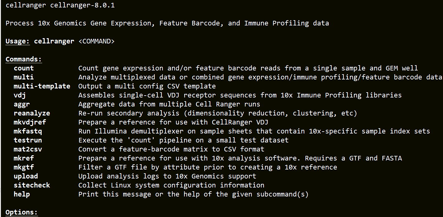 image-20250620135031189