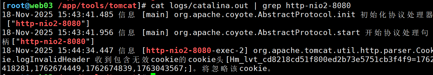 image-20251118155216702