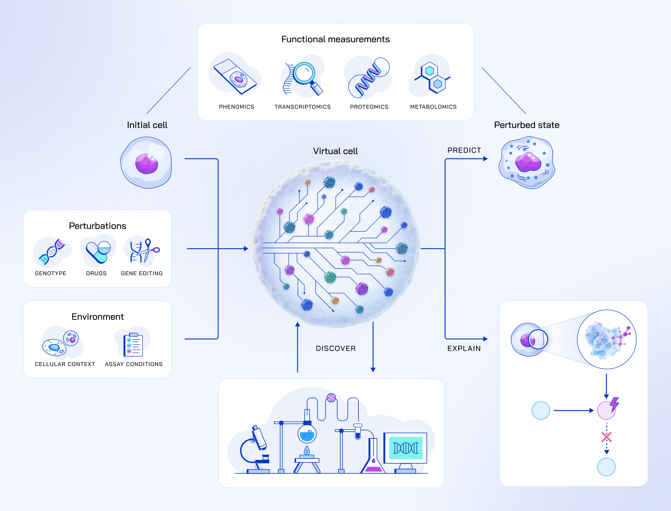 Virtual cells: predict, explain, discover.