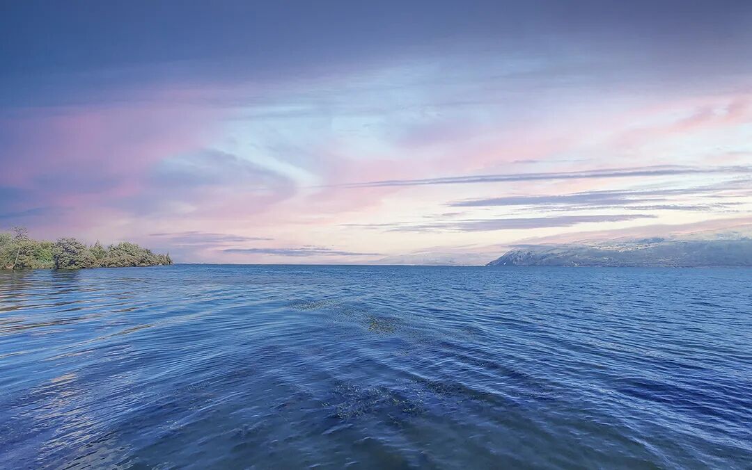 飞桨星河社区月度报告（2026年3月）