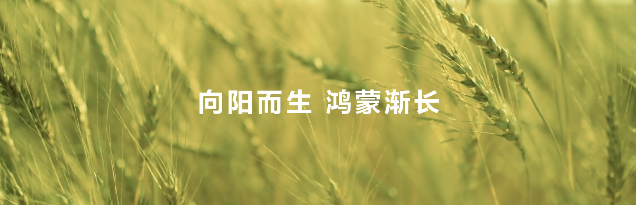 19结尾.png