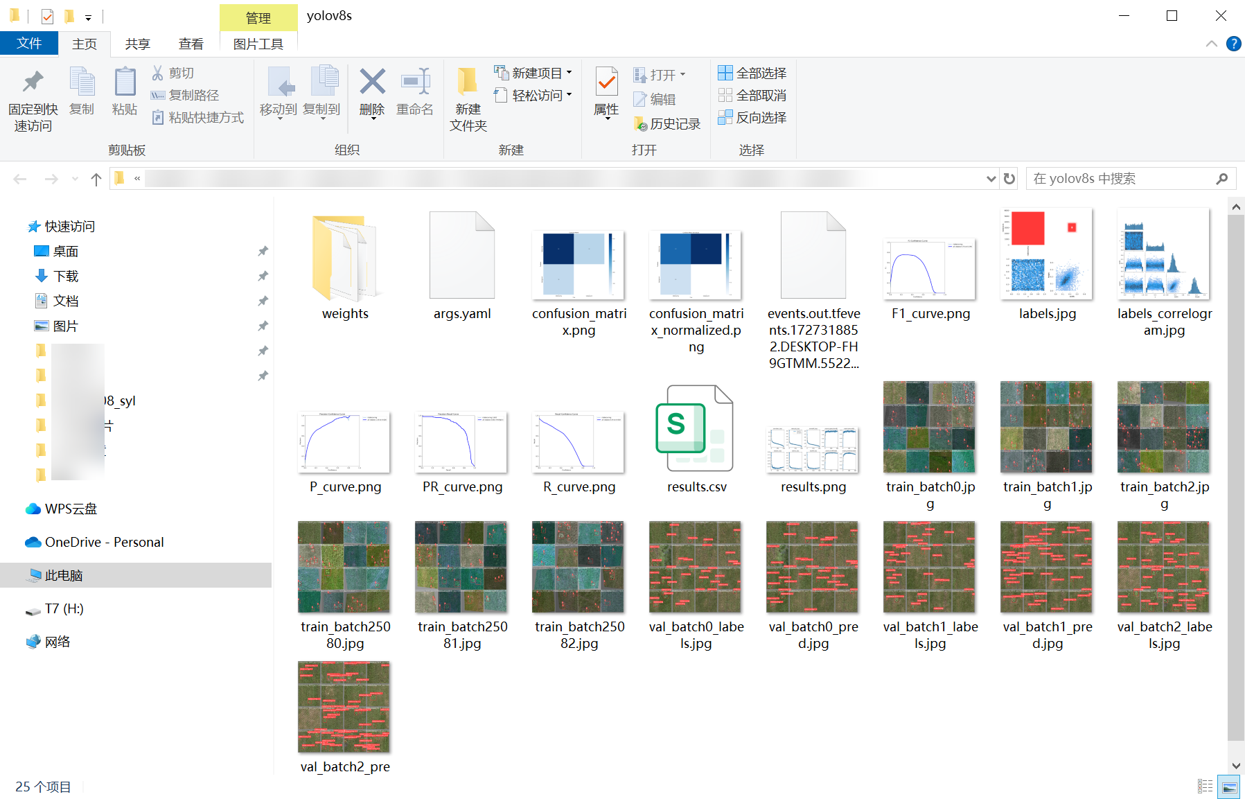 46_grass_weeds_detect-weights_folder_screenshot.png
