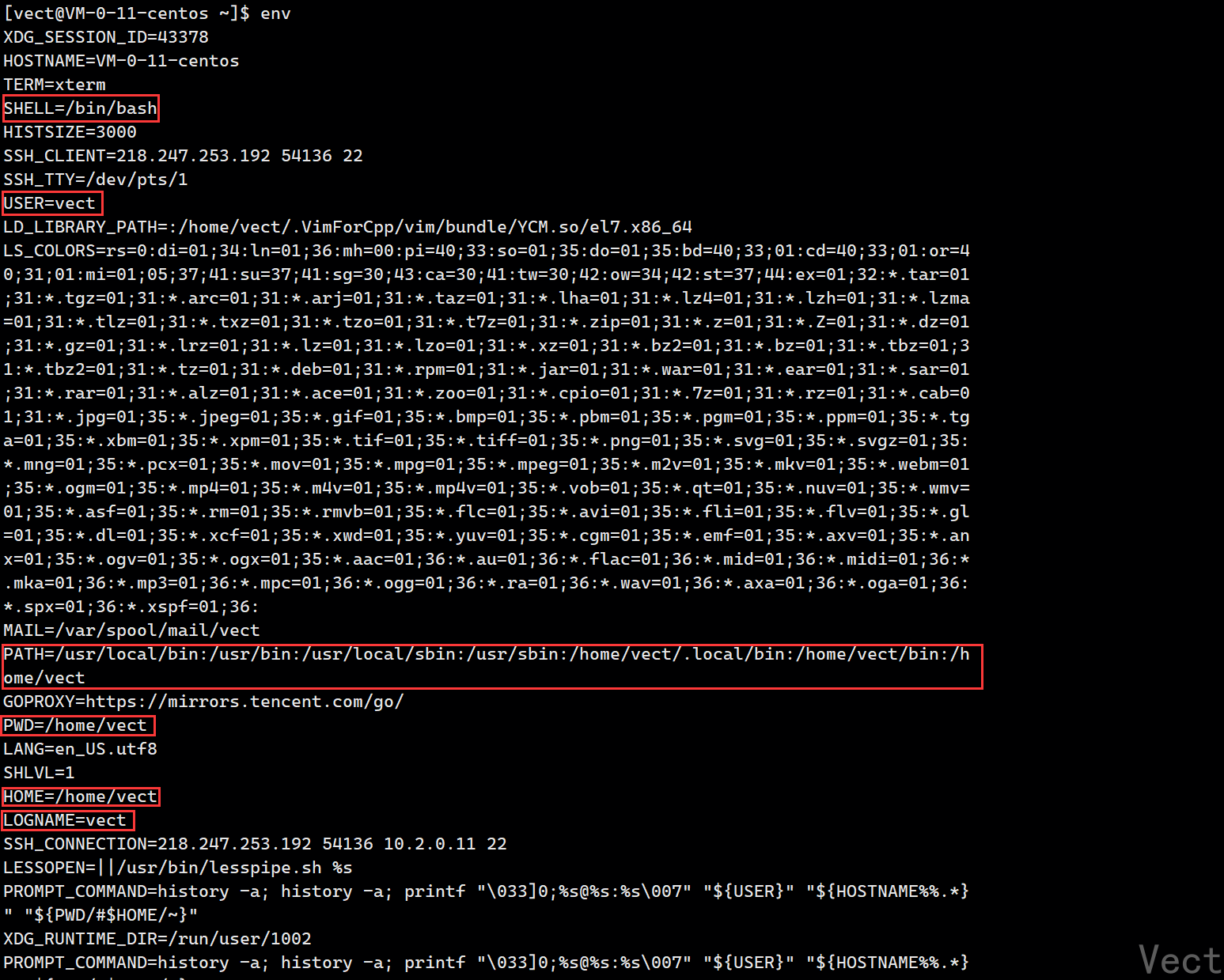 image-20251220215859743