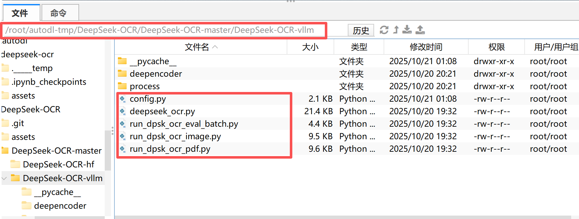 image-20251021180557763