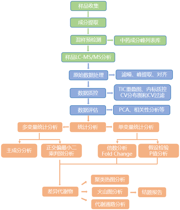 中药代谢组流程.png
