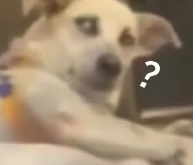 1753370840_688250d871c6bd249a791.jpg!small?1753370840295