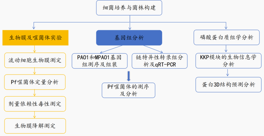 一张图get多组学联合如何卷出新高度_采用宏基因组学和非靶向代谢组学分析技术-CSDN博客