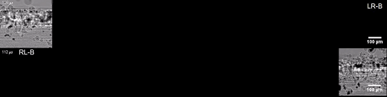 235a29c88a6d3010012c1c2953441521.gif