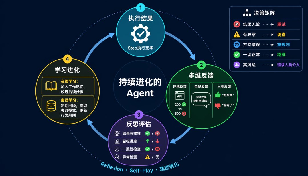 反馈层