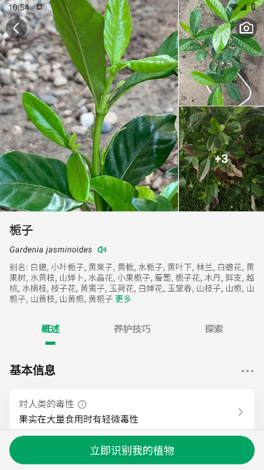 识别后