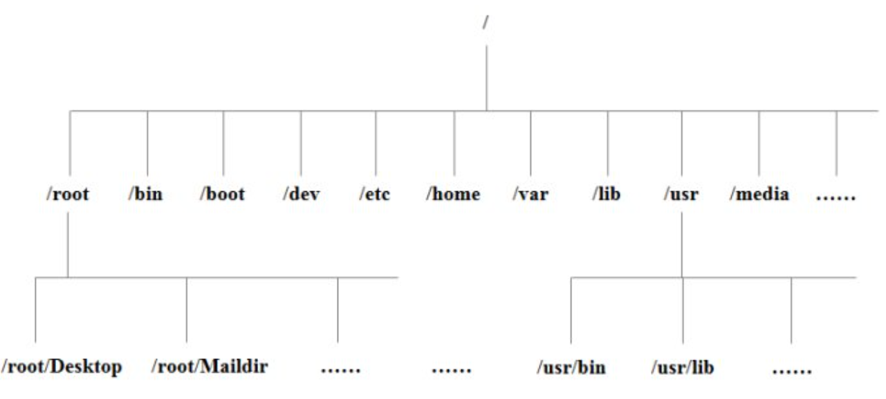 image-20250529110945044