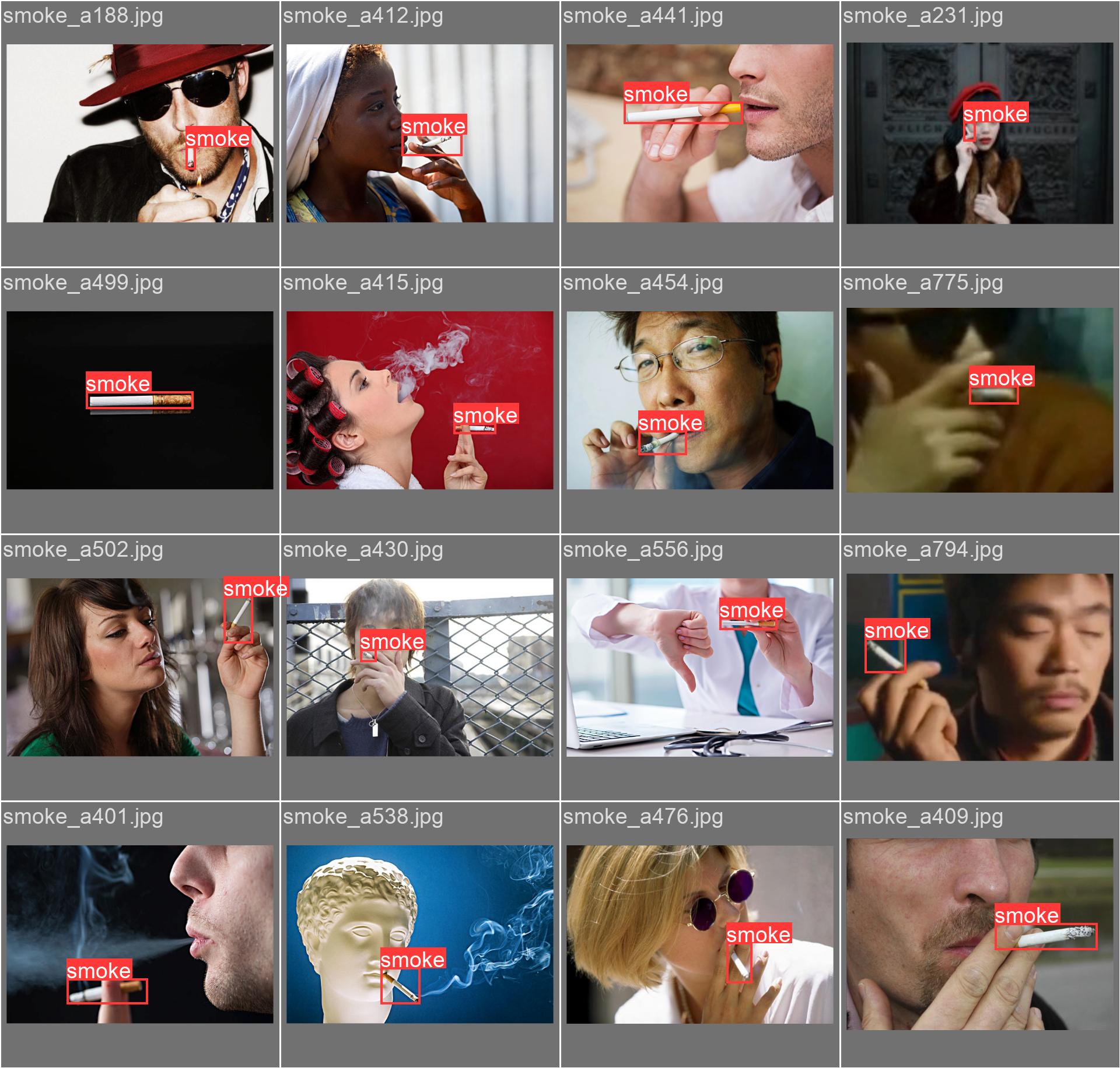 38_dosmoke_detect-val_batch1_labels.jpg