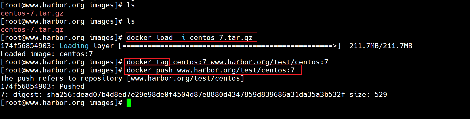 image-20260319165714894