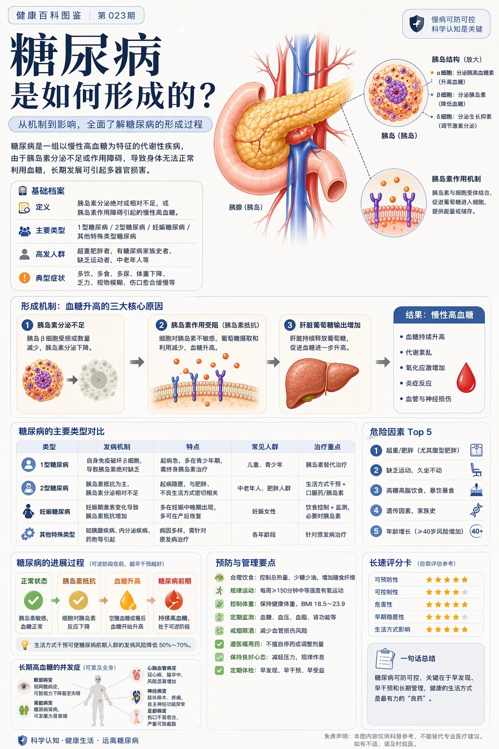 高质量竖版科普百科图