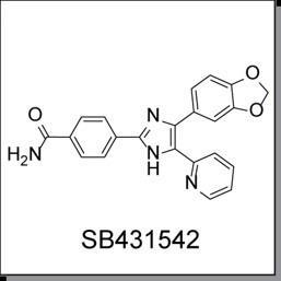 图1.SB431542结构示意图