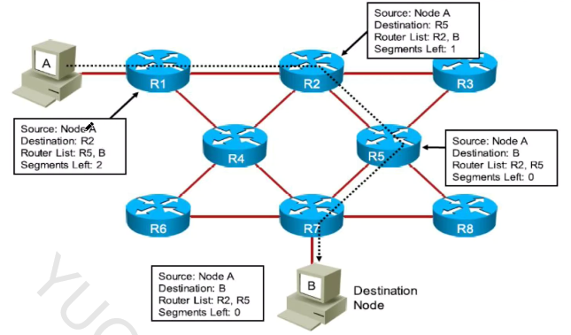 image-20250305111321007