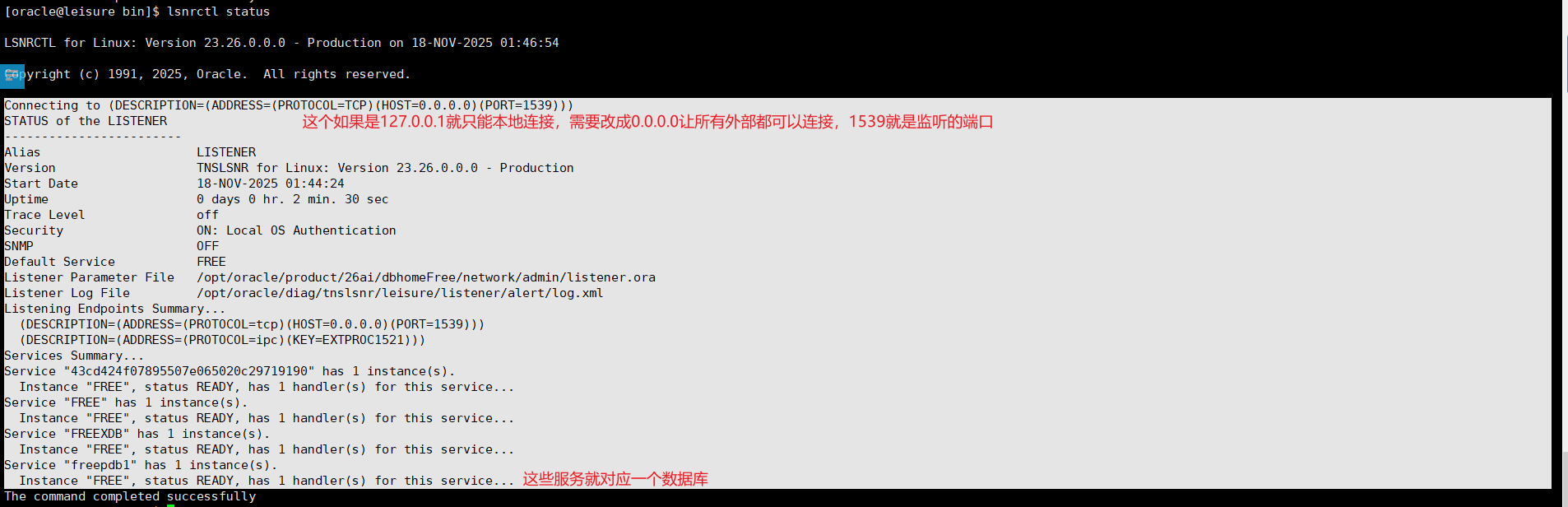 image-20251118014934615