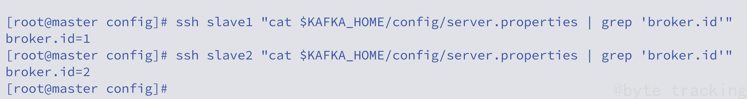 查看其他节点的 broker id