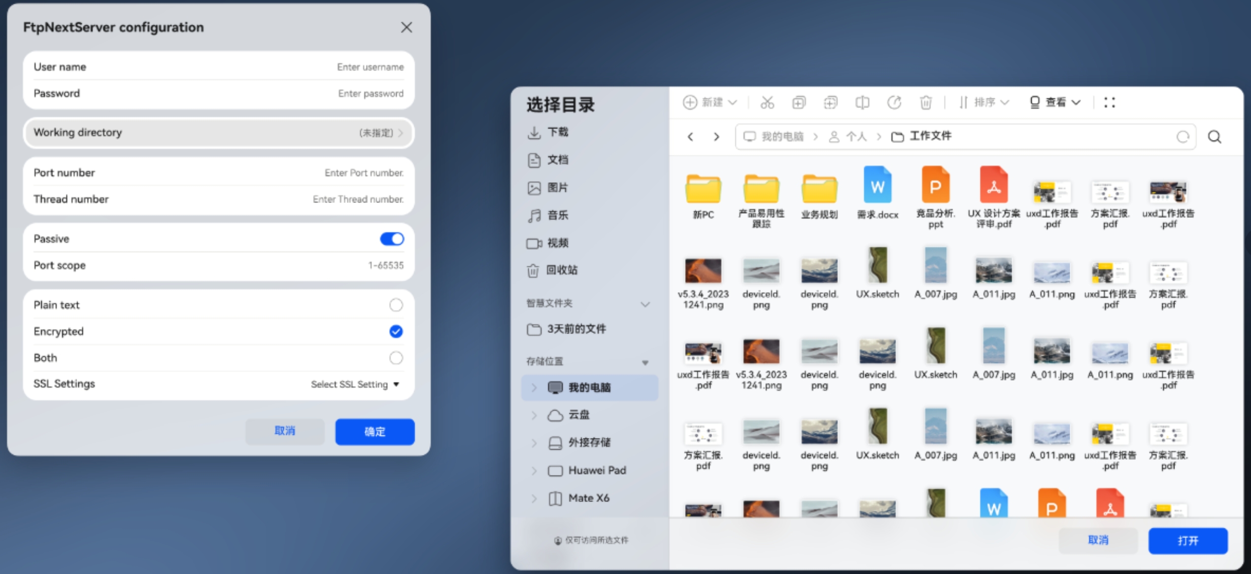FtpNextServer配置界面截图(展示协议与端口设置)