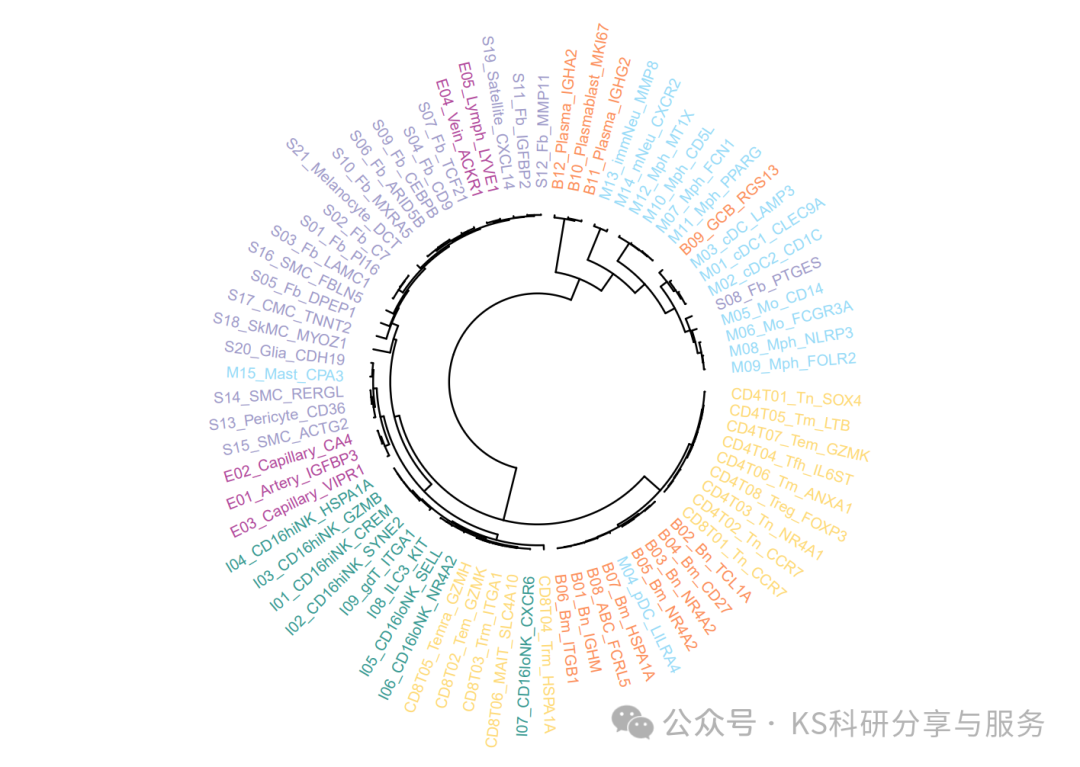 玩转单细胞(21):复现Nature图表---单细胞亚群无监督层次聚类分析及环形树状图绘制_亚群层次聚类图-CSDN博客