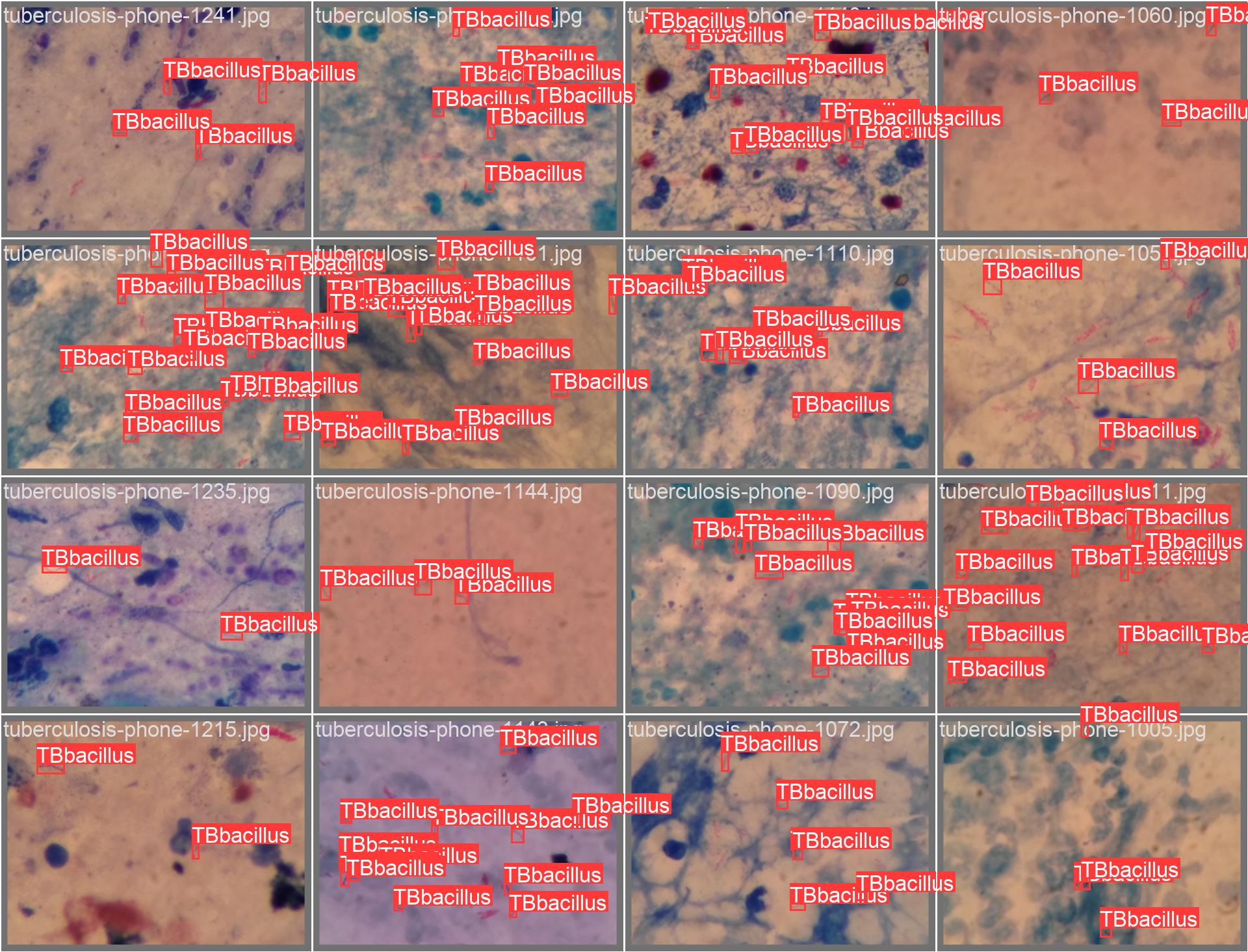 val_batch1_labels.jpg