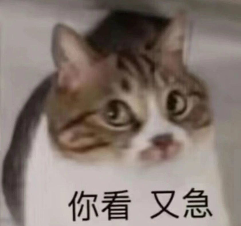 1753802072_6888e558639c9fecda397.png!small?1753802072967