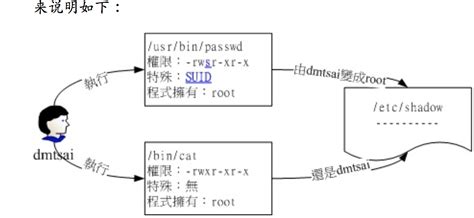 Linux-文件特殊权限：SUID，SGID，SBIT-CSDN博客