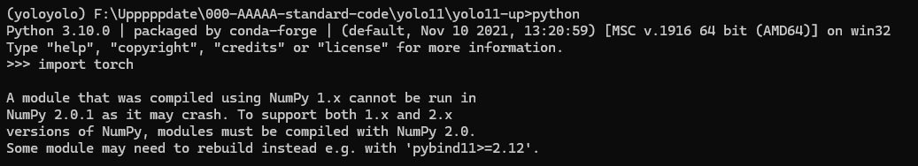 image-20250131143748696