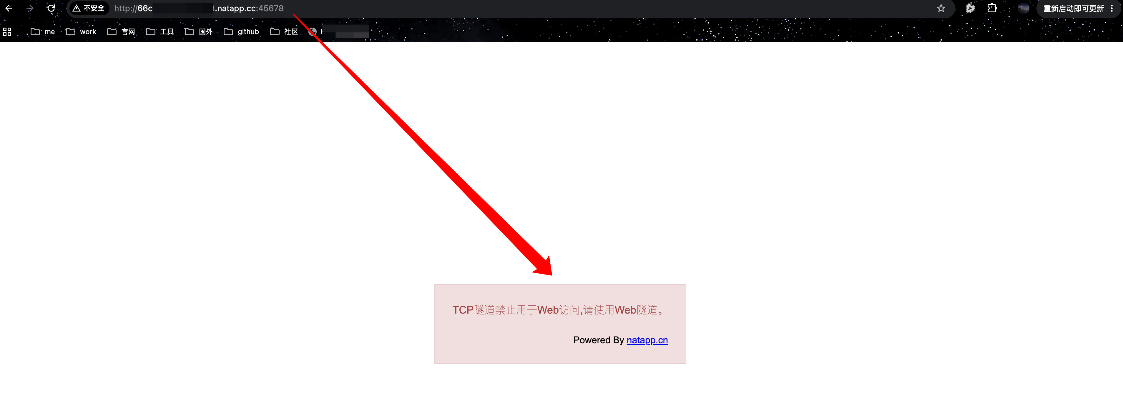 TCP 隧道不能作为普通网页访问