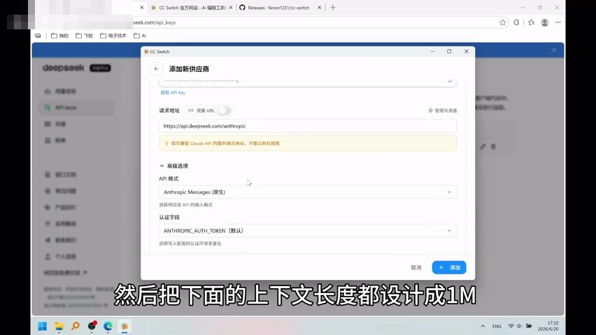 在 CCSwitch 中添加 DeepSeek API Key