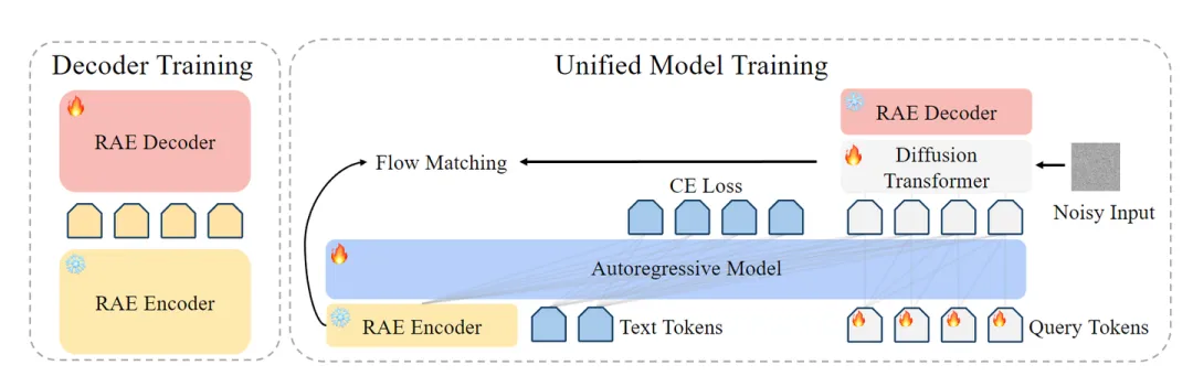 图5：训练流程。左：RAE 训练流程。右：联合训练自回归模型，Diffusion Transformer，Query tokens。使用 CE Loss 进行文本预测，使用 Flow Matching Loss 进行图像预测