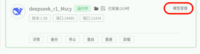 image-20250716130940307