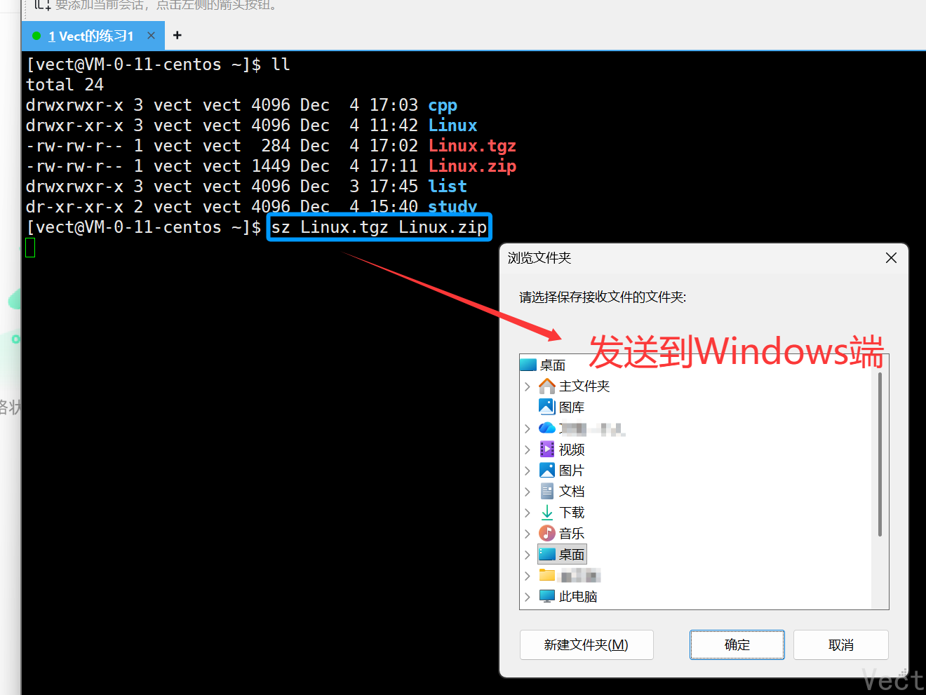 image-20251204171539216