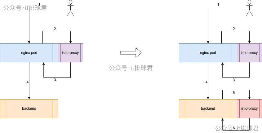 watermarked-istio_1