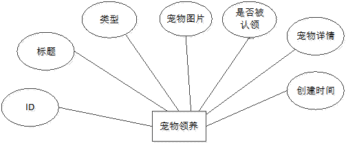 宠物领养实体属性图