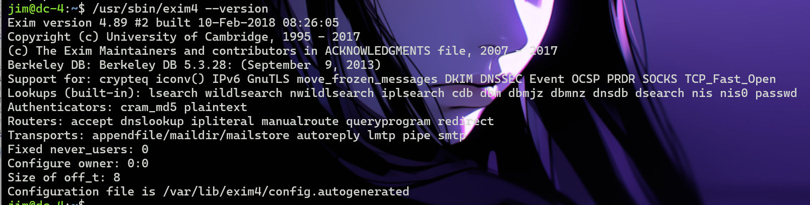 image-20250113202458879