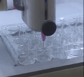 2bedd68108f333071a742d7d5a9d4b82.gif
