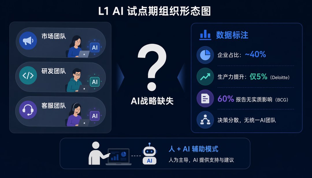 L1 试点期