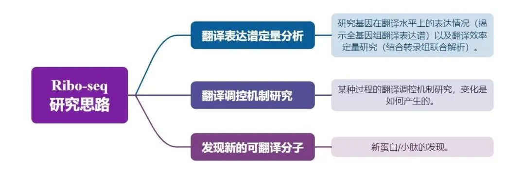Ribo-seq研究思路图.jpg