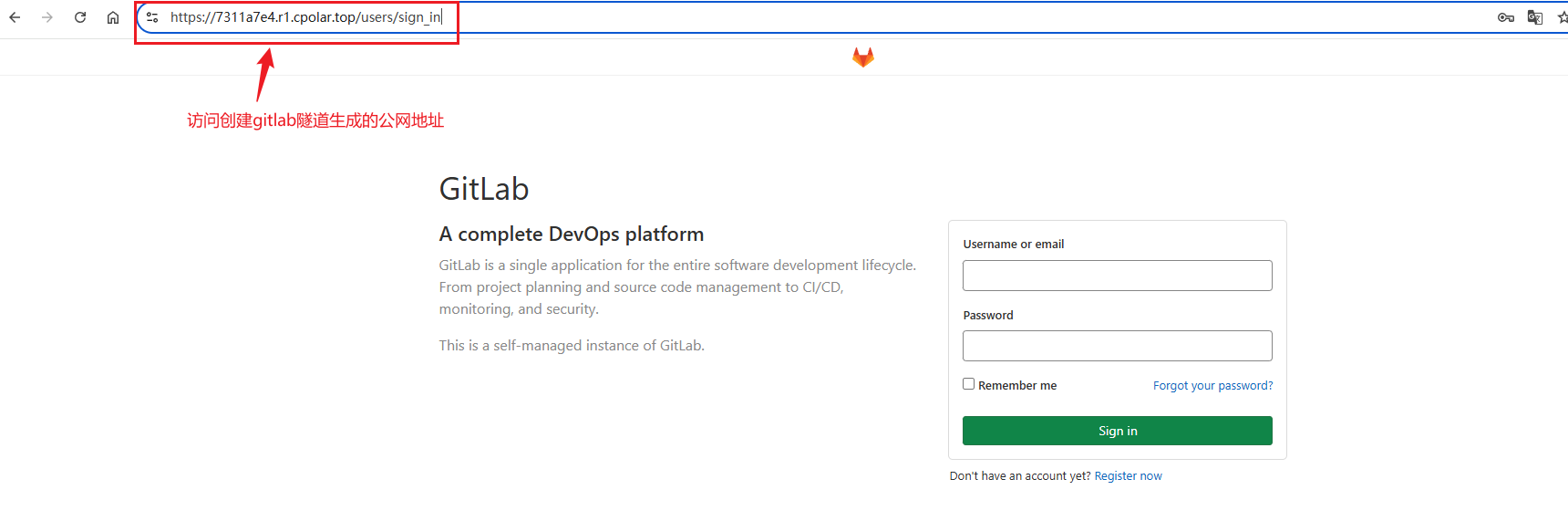 image-20250804091826770