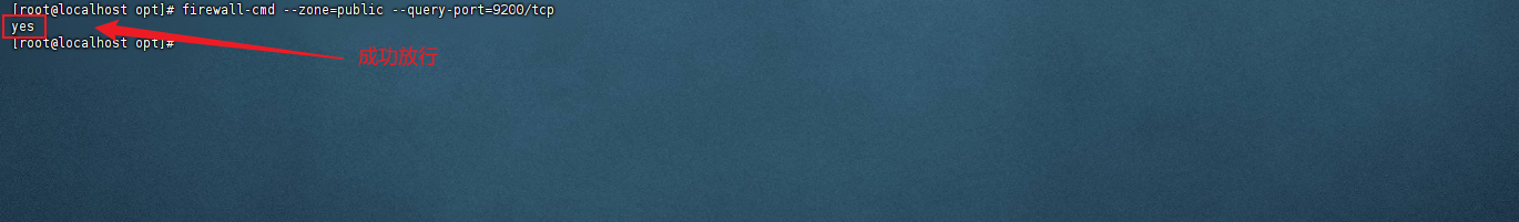 image-20250731114856489