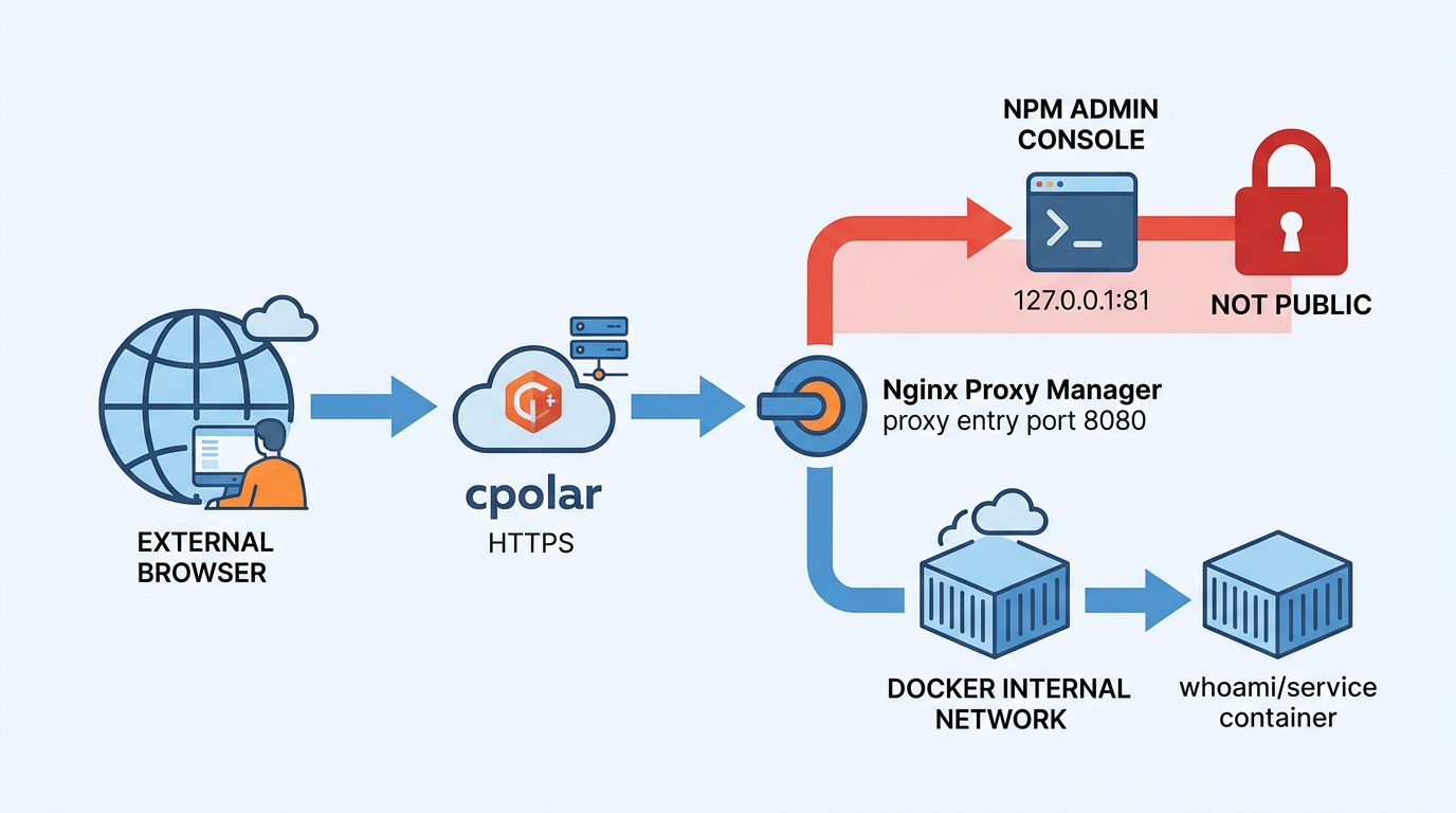 cpolar HTTPS 到 NPM 代理入口与 Docker 内部服务流程图
