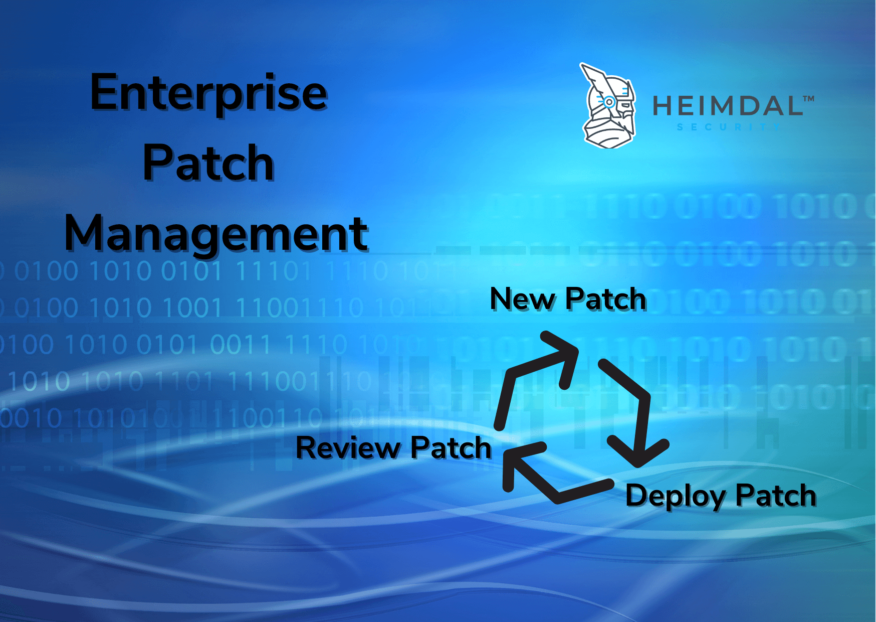 Enterprise Patch Management: Why Your Company Needs It