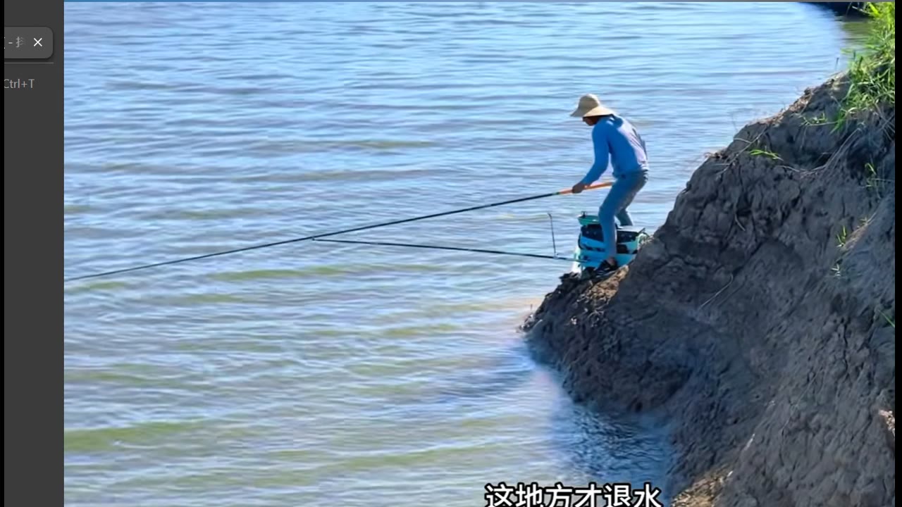 样本图