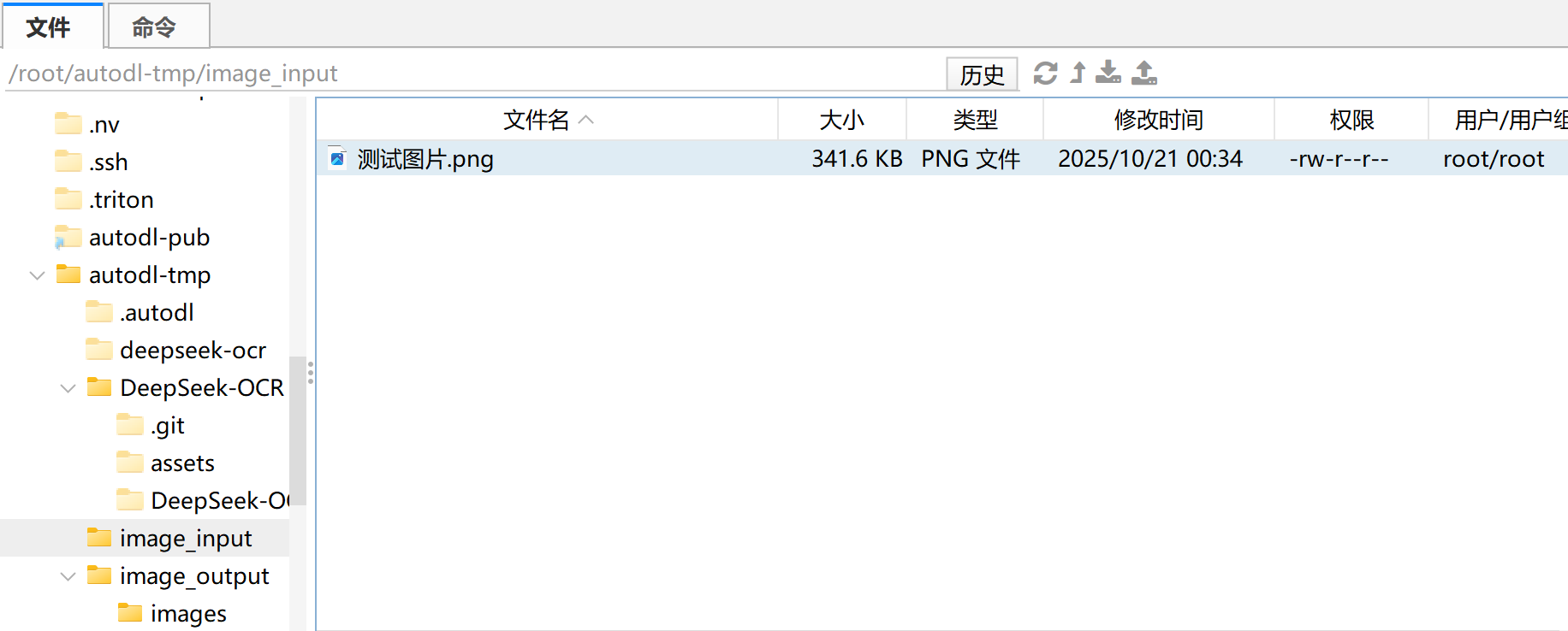 image-20251021180947793