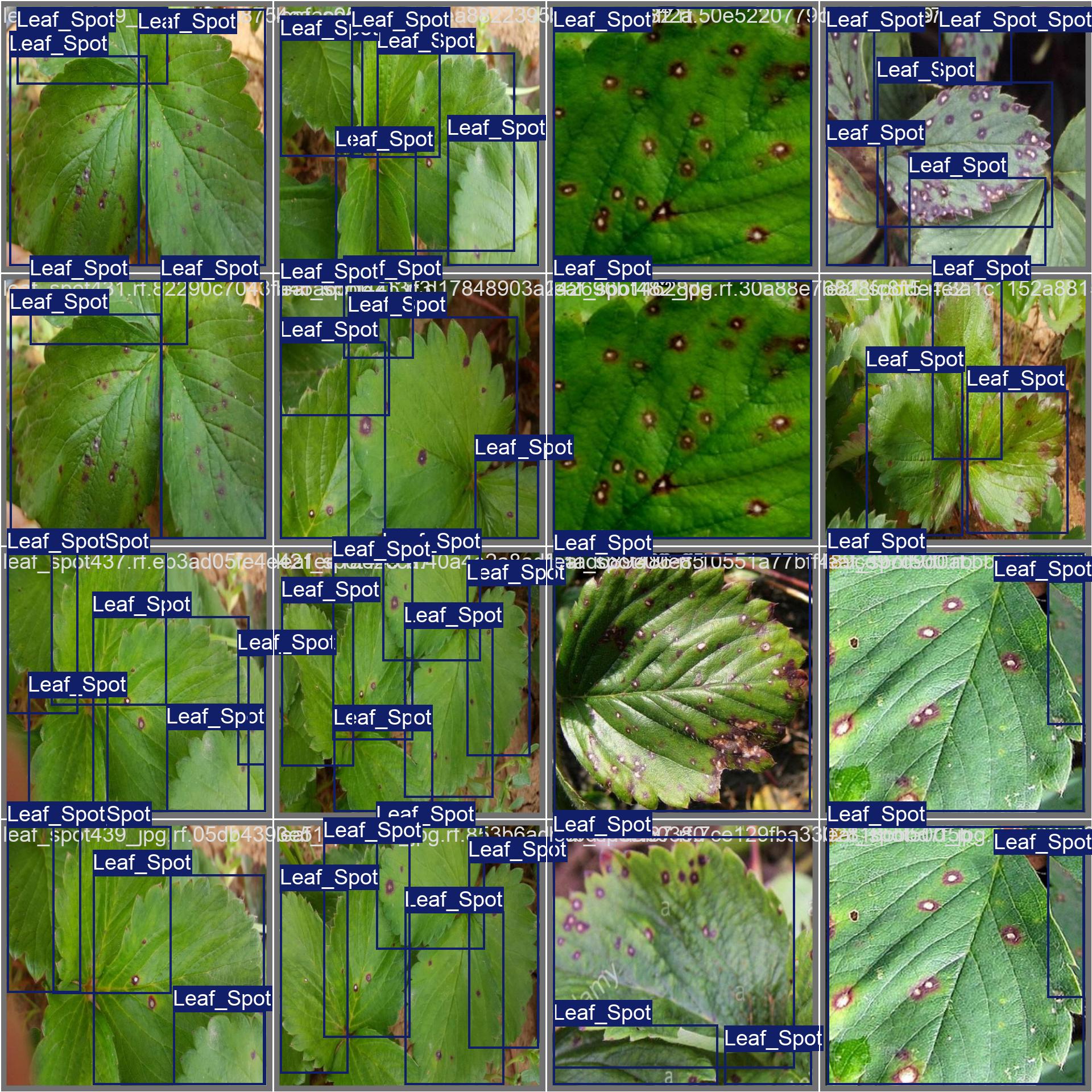 val_batch1_labels.jpg