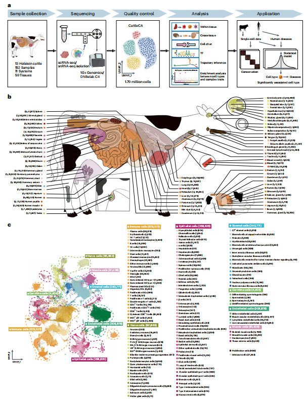 image https://i-blog.csdnimg.cn/img_convert/2fa77a7232e3a896fb7d63b782a6c485.png